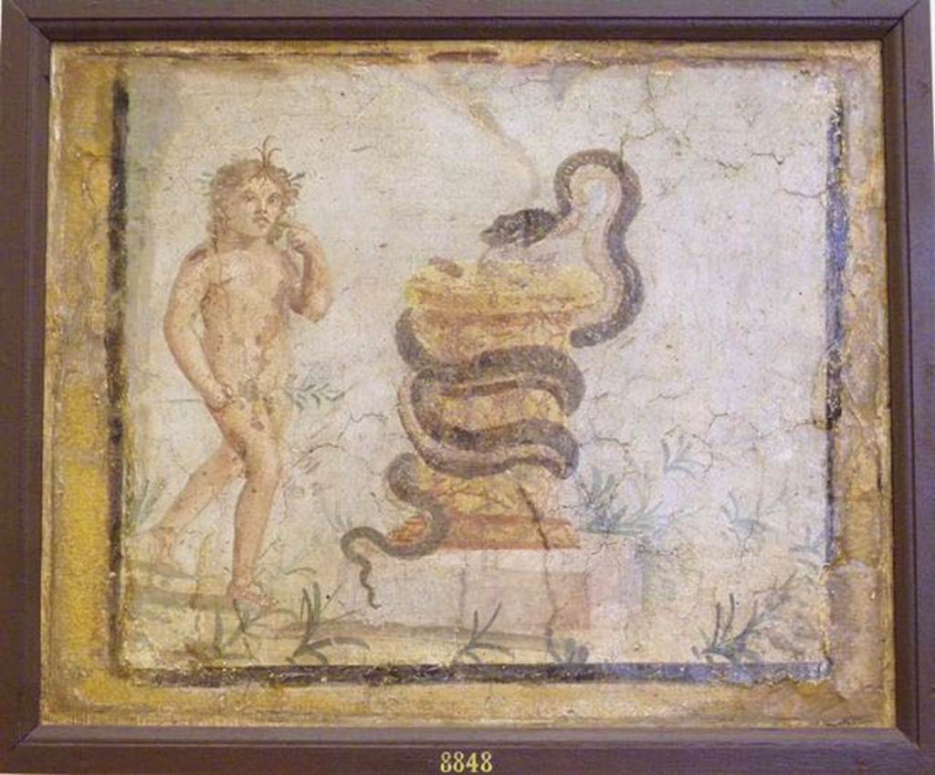 VI 26 Herculaneum. Lararium painting found 21st December 1748 by the Bourbon tunnellers.
Naked Harpocrates on the left of a yellow marble altar, entwined with a serpent approaching the offerings.
Now in Naples Archaeological Museum. Inventory number 8848.
According to Pagano & Prisciandaro, this lararium painting was found in the kitchen?,
See Pagano, M. and Prisciandaro, R., 2006. Studio sulle provenienze degli oggetti rinvenuti negli scavi borbonici del regno di Napoli. Naples: Nicola Longobardi. (p.205).
Other references AdE, I, 36, 207, Diario 267, St.Erc.104. CIL IV 1176.
A note says “The space of the cut seems to coincide with that of the plaster of the kitchen of the House of the Tuscan Columns” see F. De Salvia in Hommages a J.Leclant, III, 1994, pp.145 onwards.
According to Rocco, the incision made in the 1700’s of this painting in the Pitture di Ercolano recorded the inscription, next to the altar, the phrase Genius huius loci montis: it was believed that the serpent was the protector of the places where it lurked.
See Bragantini, I and Sampaolo, V., Eds, 2009. La Pittura Pompeiana. Verona: Electa. (p.430, no.223)